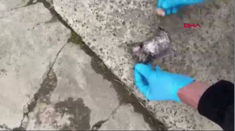 Şeytanın aklına gelmez! Uyuşturucu bakın nereden çıktı. Jandarma bile şaştı kaldı - Resim: 6